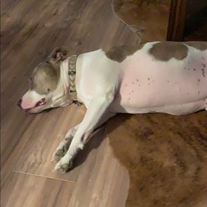 Meet your Posher, Angelina